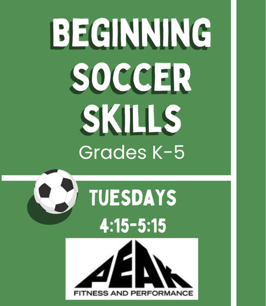Image for Beginning Soccer Skills