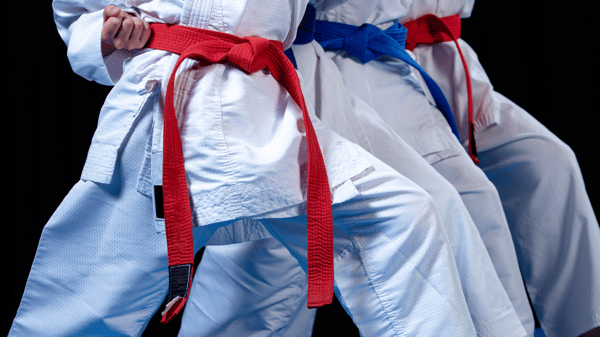 Picture for: Beginning Karate: Age 7+