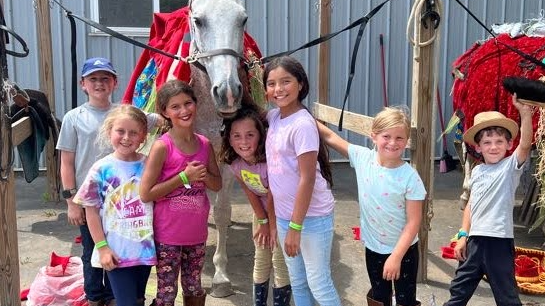 Picture for: My Little Horse Camp: Ages 2-5