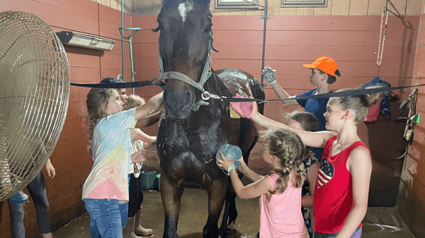 Picture for: Horse Day Camp: Ages 6-15