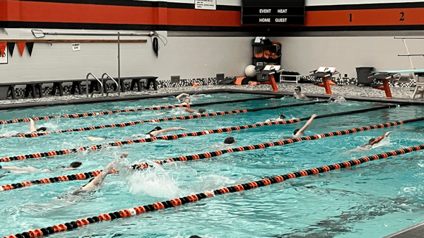 Course Open Swim: All Ages image 1