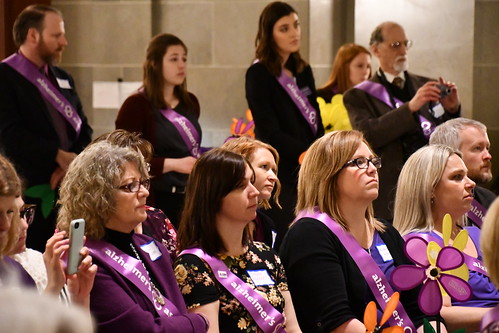 Course The Basics of Dementia and Alzheimer's Disease: Adult image 1