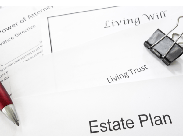 Picture for: Write Your Own Will: Adult