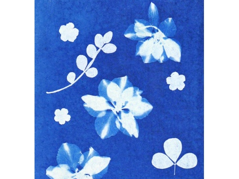 Picture for: STEM Take Home Kit: Solar Printing Kit: Age 4+