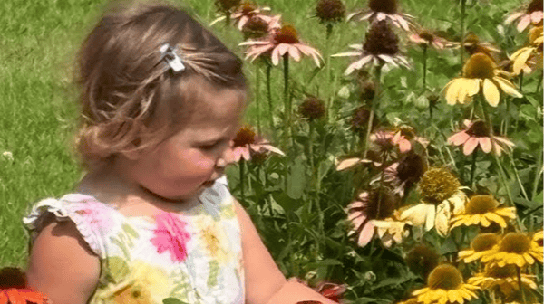 Course Down on the Farm: Open to All image 1