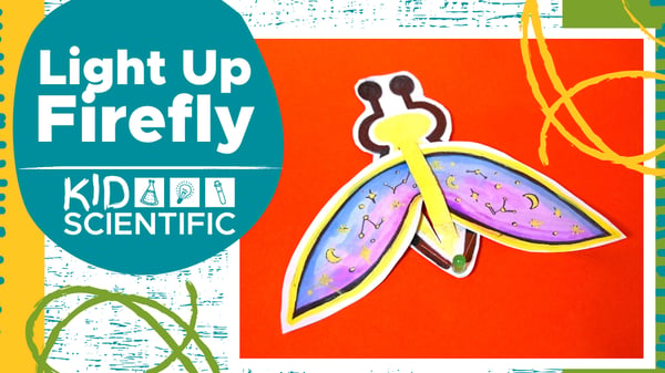 Picture for Light Up Firefly with KidScientific: Gr. K-5