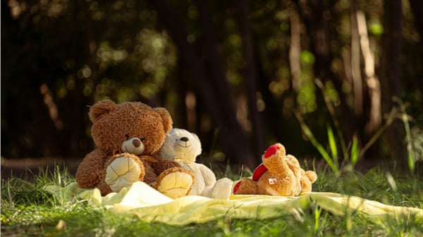 Picture for Teddy Bear Picnic Gr. K-2
