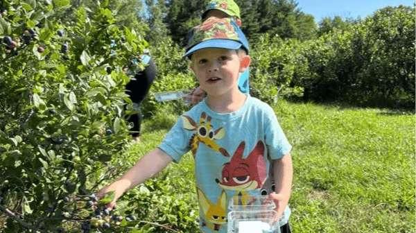 Picture for Down on the Farm: Open to All