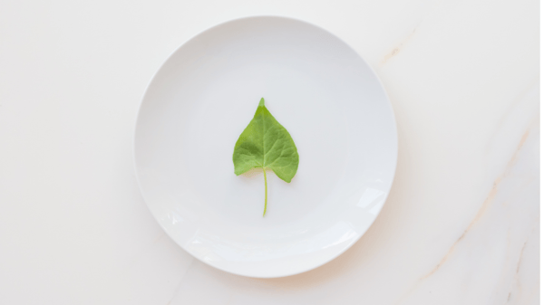 Picture for The Kitchen Garden: Photosynthesis to Plate: Gr. K-5