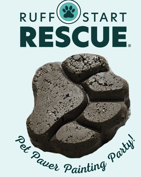 Picture for Pet Paver Painting Party at Ruff Start Rescue: Ages 14-Adult (Ages 10-13 w/Adult)