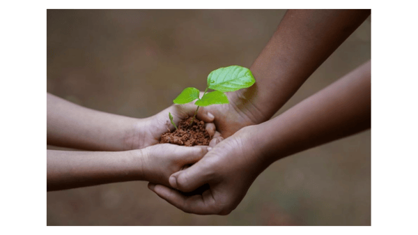 Picture for: Sprouts Community Program