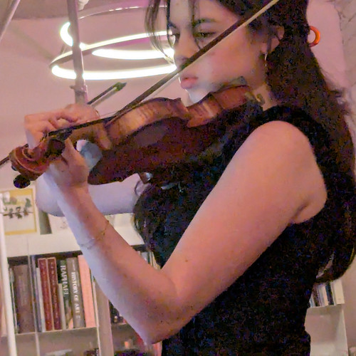 Picture for: Violin