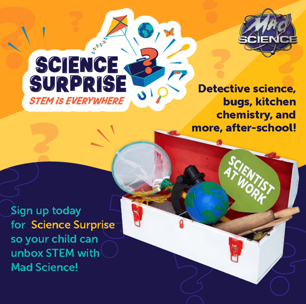 Picture for Mad Science