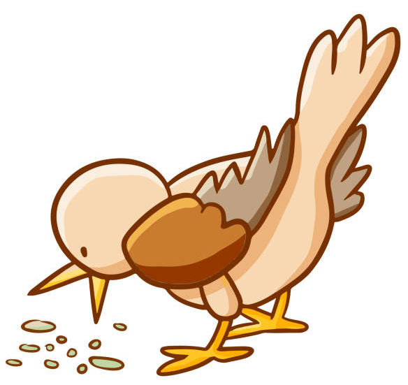 Picture for: Friendship Edventure/TCU Special Olympics