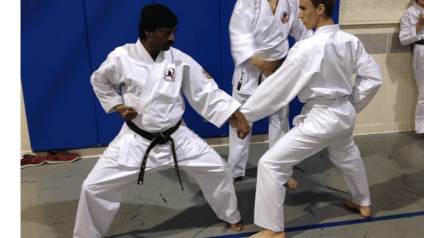 Picture for: Okinawan Shorinryu Karate