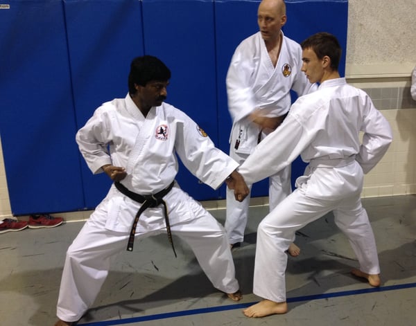Picture for: Okinawan Shorinryu Karate