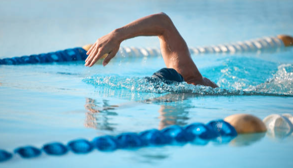 Picture for: Lap Swim