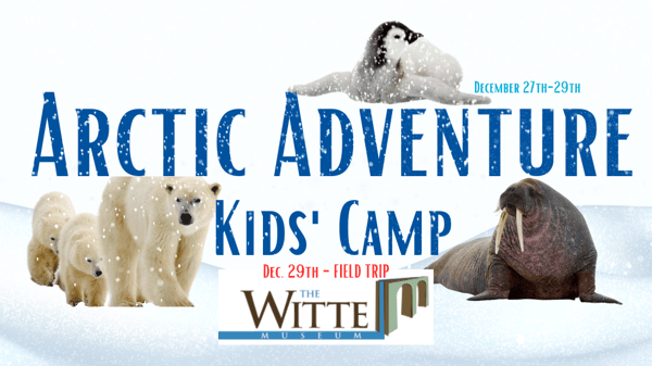 Course Arctic Adventure Kids' Camp Week 2 (FIELD TRIP INCLUDED) image 1