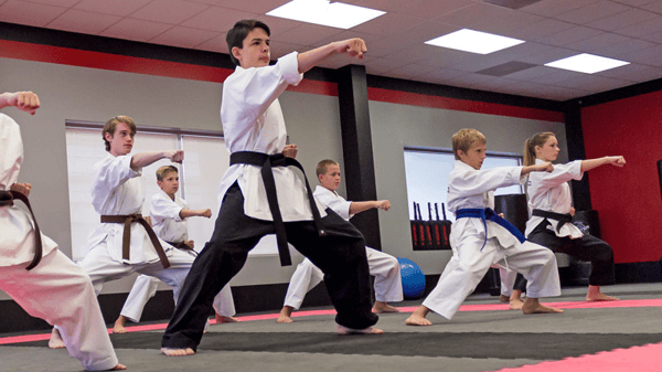 Picture for: Hill Country Karate (ages 13+)