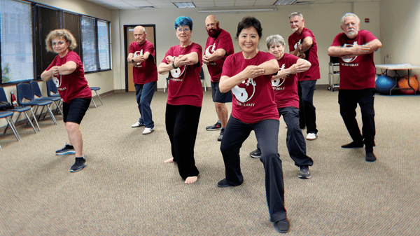Picture for: Taichi for Beginners
