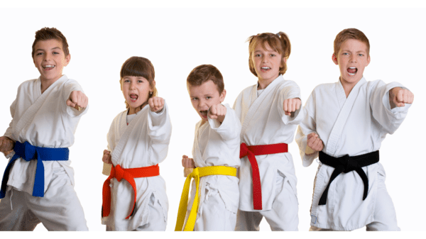 Picture for: Hill Country Karate (5-12)