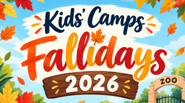 Image for Fallidays