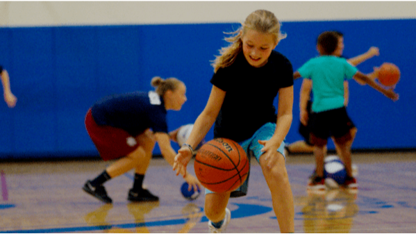 Image for Skyhawks: Basketball