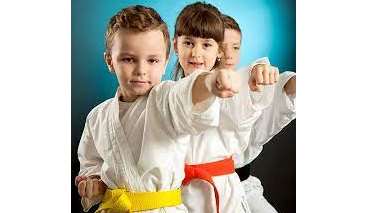 Picture for NAAMA Karate (Advanced)