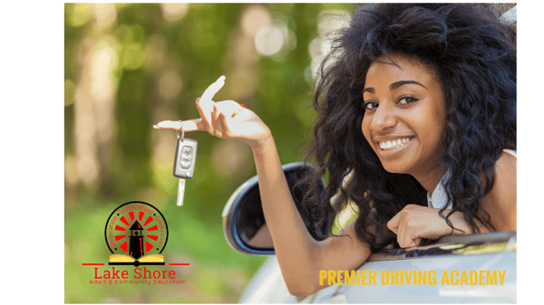 Picture for: Driver's Training: Segment II