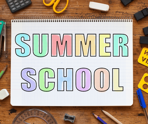 Picture for: Summer School