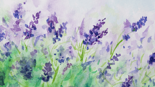 Picture for Watercolor Exploration