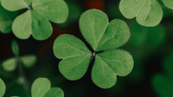 Picture for: Detroit Irish Tour:  Tuesday, March 9th, 2027