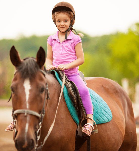 Picture for: BEGINNER HORSE RIDING CAMP