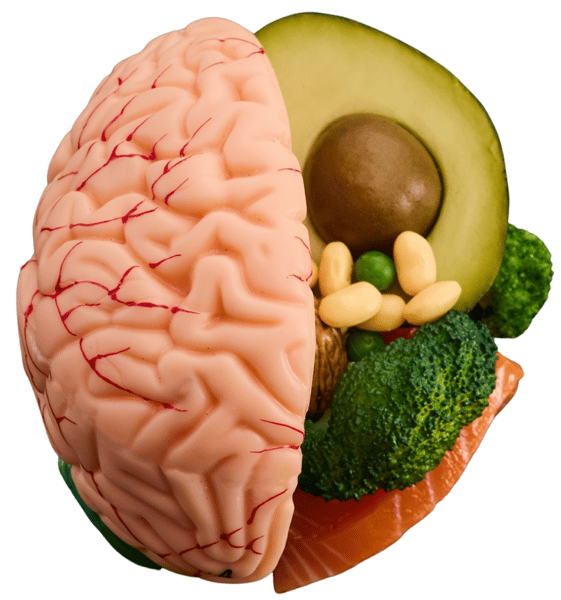 Picture for: REJUVENATE YOUR BRAIN: Improve Cognitive Function At Any Age