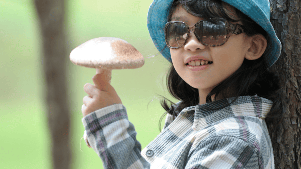 Course Fun with Fungi image 1