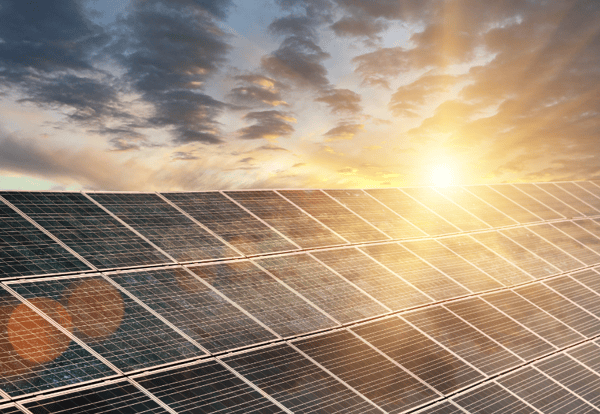 Picture for Personal and Professional Growth