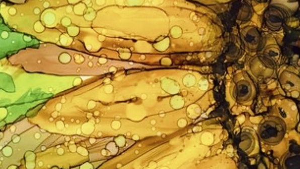 Course Alcohol Ink Sunflower image 1
