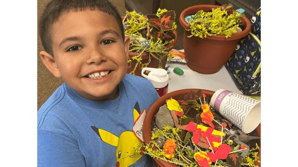 Image for Build-Your-Own Fairy/Dinosaur Garden