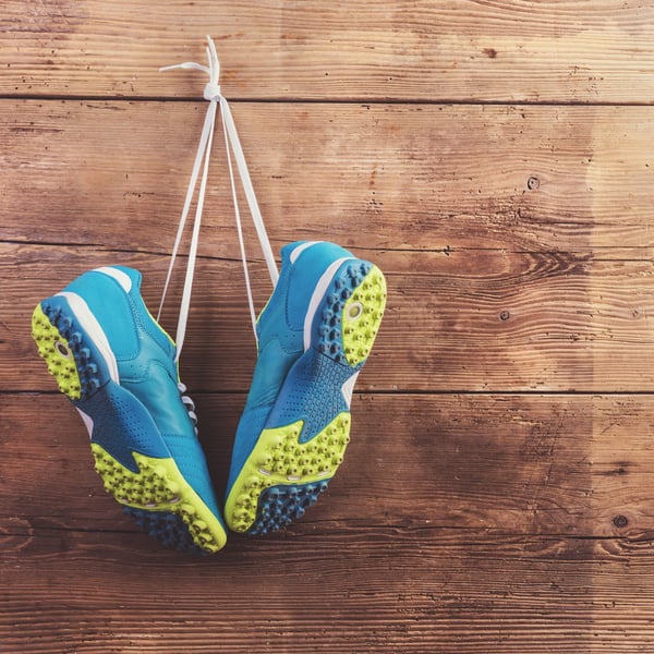 Picture for Late Summer Offerings