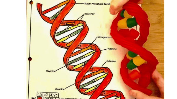 Course Spring Fun Culinary Crafts image 1