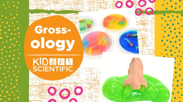 Picture for: Grossology