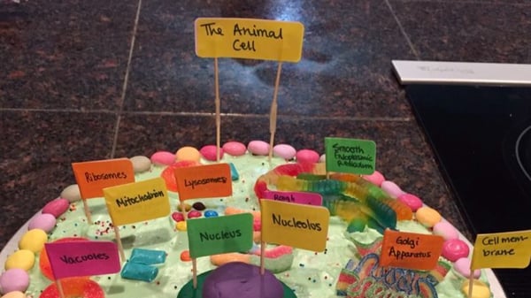 Picture for: Edible 3D Cell Models - A Journey Into the Micro-Bakery
