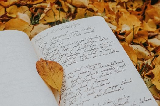 Picture for: Poetry & Writing Workshop