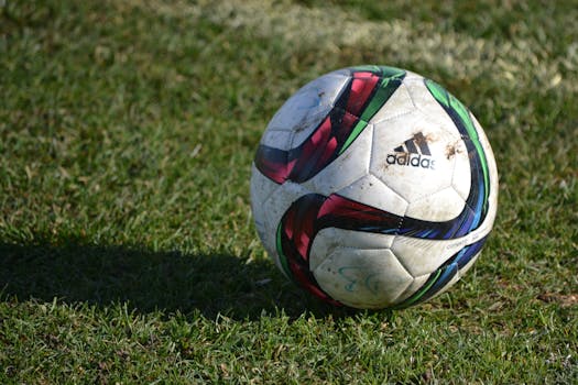 Image for Minnewaska Mallards Soccer: Pre-K (age 4) through 2nd Grade