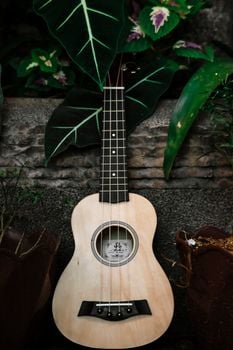 Picture for: NEW! Instant Ukulele for Hopelessly Busy People