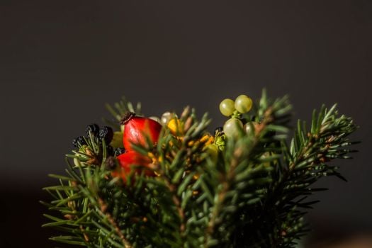 Picture for Winter Artificial Planter Arrangement Class with Uptown Florist