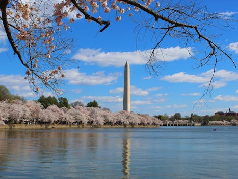 Picture for: Washington DC Trip