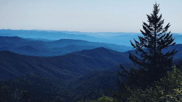 Course Tremont Treks | Spring 2026 image 1