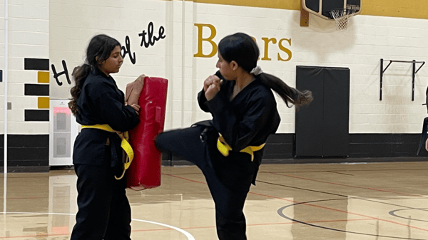 Picture for: Hapkido Fall 2026