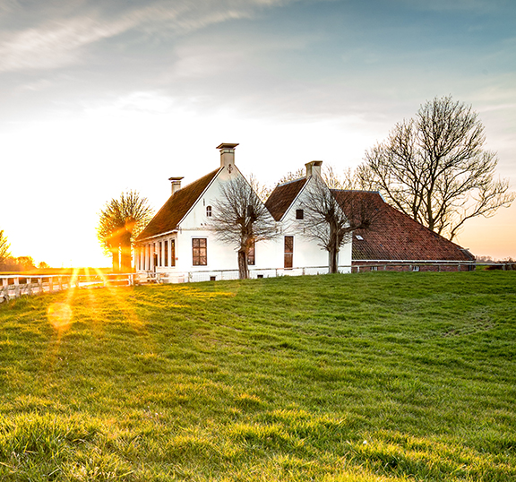 Picture for Home & Garden